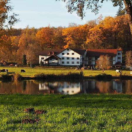 Landgasthof Rotlipp Gaestezimmer Ortenberg  외부 사진