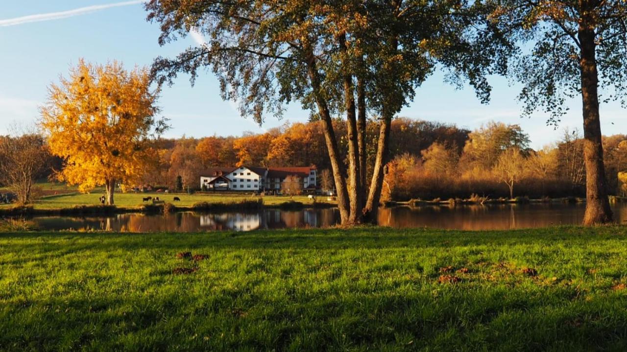 Landgasthof Rotlipp Gaestezimmer Ortenberg  외부 사진