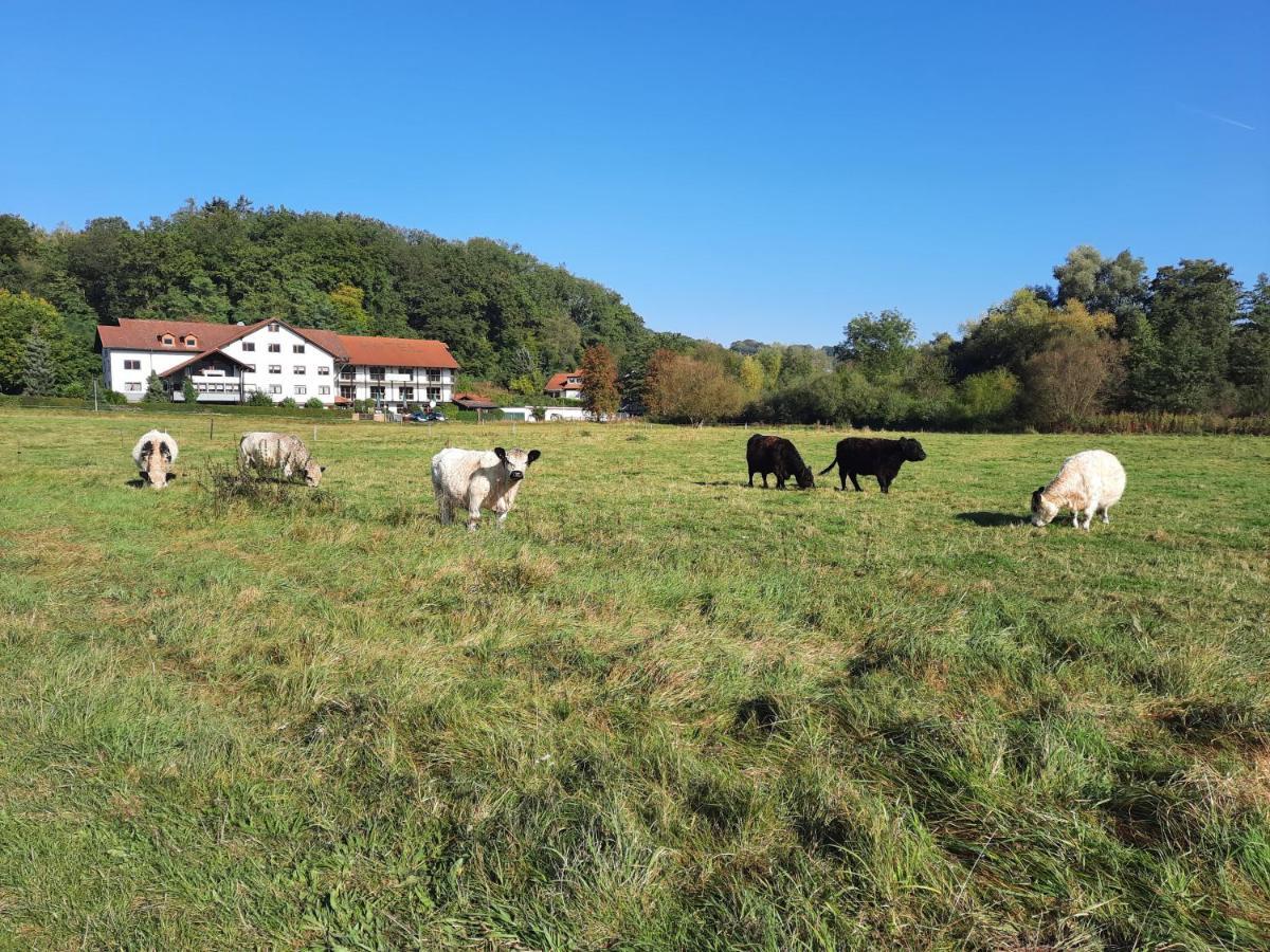 Landgasthof Rotlipp Gaestezimmer Ortenberg  외부 사진