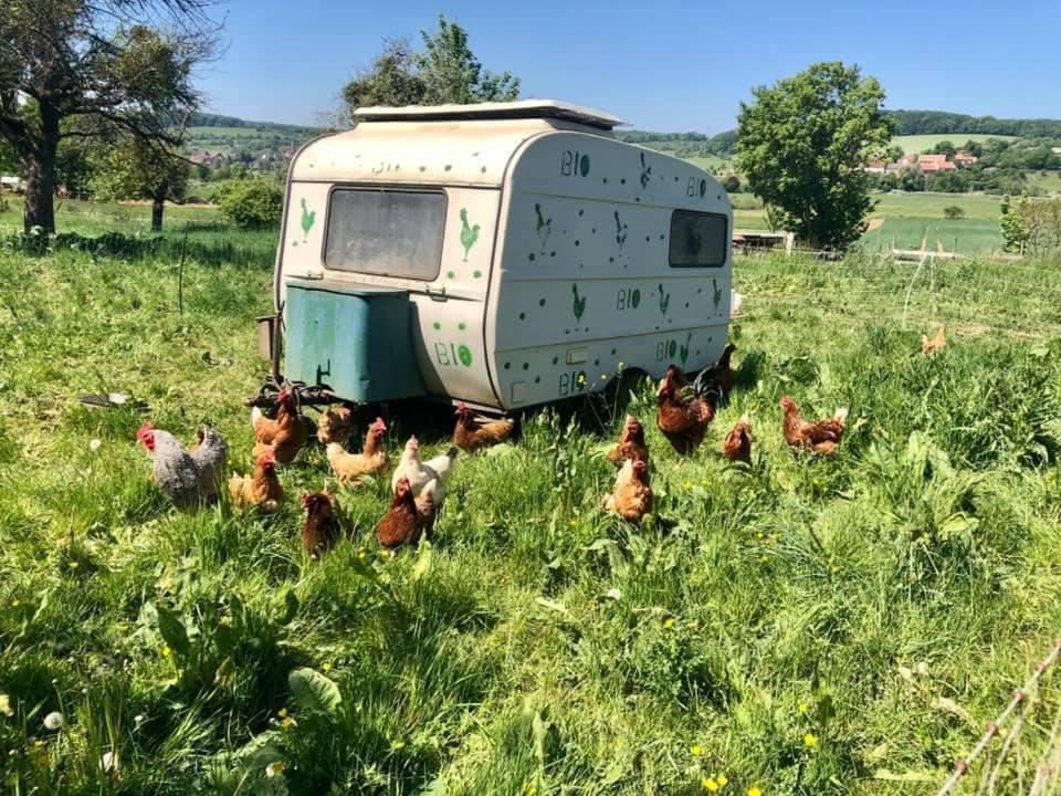 Landgasthof Rotlipp Gaestezimmer Ortenberg  외부 사진