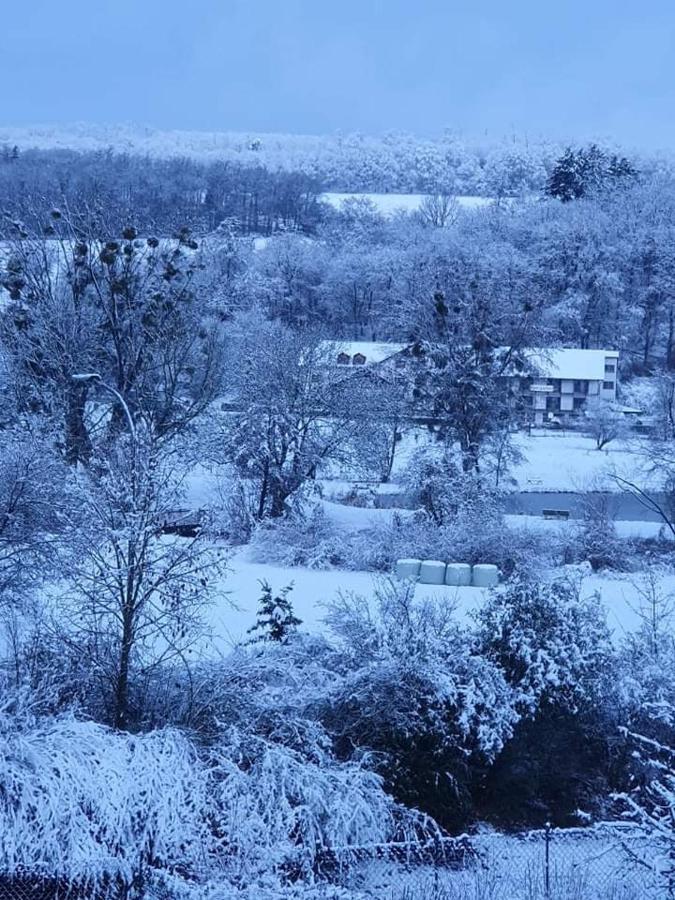 Landgasthof Rotlipp Gaestezimmer Ortenberg  외부 사진